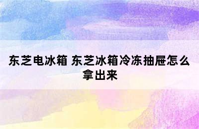 东芝电冰箱 东芝冰箱冷冻抽屉怎么拿出来